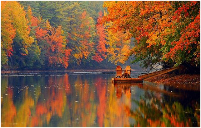 Vén màn những điểm tham quan nức tiếng ở Dallas